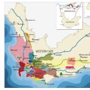 인문학과 와인세계 이미지