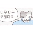 길음연세치과의원 이미지