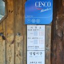 통나무오리 이미지
