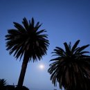 성한렌탈 이미지