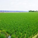 노동1리 이미지