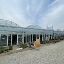 수지화훼(성복동 359-1)