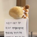 정원미트 이미지