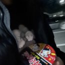 최지원 농장 이미지