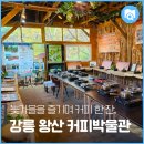 왕산잿물소(커피박물관) | 왕산골에서 늦가을을 즐기며 커피 한 잔, "강릉 왕산 커피박물관"