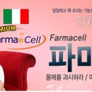 파마셀