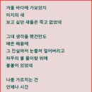 겨울 바다/김남조 이미지