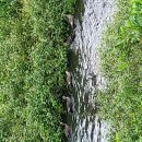 162 | 162번째 독서후기 시간이 멈춘 카페 도도/시메노 나기