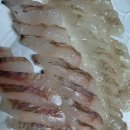 산호문구 | ​[속초 중앙시장 횟집] 가성비와 신선도 다 잡은 '산호횟집' 모듬회 포장 후기