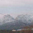 푸른 꿈나무의 집 이미지