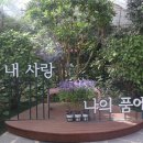 왕궁포레스트 이미지