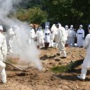 평창 방림삼베민속 이미지