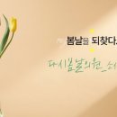 소사벌다시봄날의원 이미지