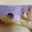 그림책 꼼지락 | 만 5개월 책육아#보드북추천#추피보드북#아기별그림책#꼼지락손가락인형책#사랑해시리즈#보림보드북추천