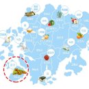 진도삼촌울금 이미지