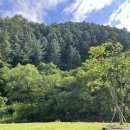 갯골자연휴양림 이미지