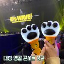 대성 | 대성 콘서트 디스웨이브 중콘 후기 (feat.강대성 사랑해!)