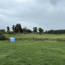 선창목장 이미지