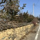 죽연마을회관 앞 이미지