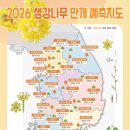 개화 티스토리