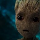 베이비캡쳐 이미지