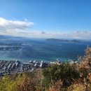 [일본 다카마쓰]가볼만한곳|다카마쓰 수족관 신야시마 스이조쿠칸 마린 샵 후기 _24.12.22
