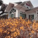 발리경포펜션 이미지