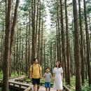 갯벌체험-조개바지락 잡기(만대마을)