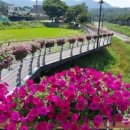 금산천 데크길 이미지