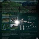 버스정류장 05-182 | [한라산] 탐방예약 관음사~성판악 '눈꽃산행', 교통편 총정리