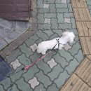 세븐에비뉴 소원 | 9月第3週目日常