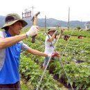 대광여자고등학교 이미지