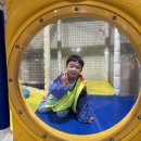 선태권도 이미지