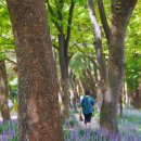 햇빛누리 이미지