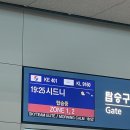 인생 첫 혼행, 시드니여행 SYD 1day