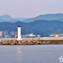울진후포수산업협동조합 티스토리