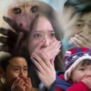 퍼피클럽 이미지