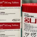 다정약품 이미지