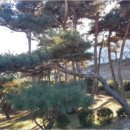 낭산면-1 이미지