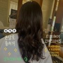 헤어샵 후기 | 손상모 클리닉, 미아사거리 미용실 추천! 티지헤어 오테르미아점