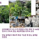 그랜드플랜트 이미지