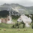 놀숲 죽전점 이미지