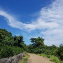 카페옜다 | [제주도 표선 가볼만한곳]동굴이 있는 식물원 일출랜드 내돈내산 후기