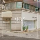 시트러스디자인 이미지
