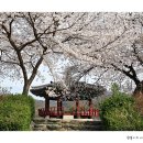 면천군자정 이미지