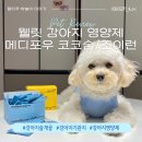 조이메디 | 강아지영양제 슬개골&amp;기관지협착증 웰릿 메디포우 조이런, 코코숨 후기
