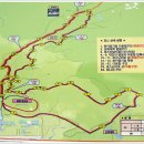 산악자전거경기장 이미지