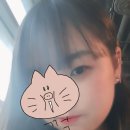 꽃카페아무르 이미지