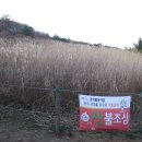 장산억새밭 이미지
