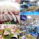 노량진수산시장 모듬회 맛집 합리적인 가격 신안상회